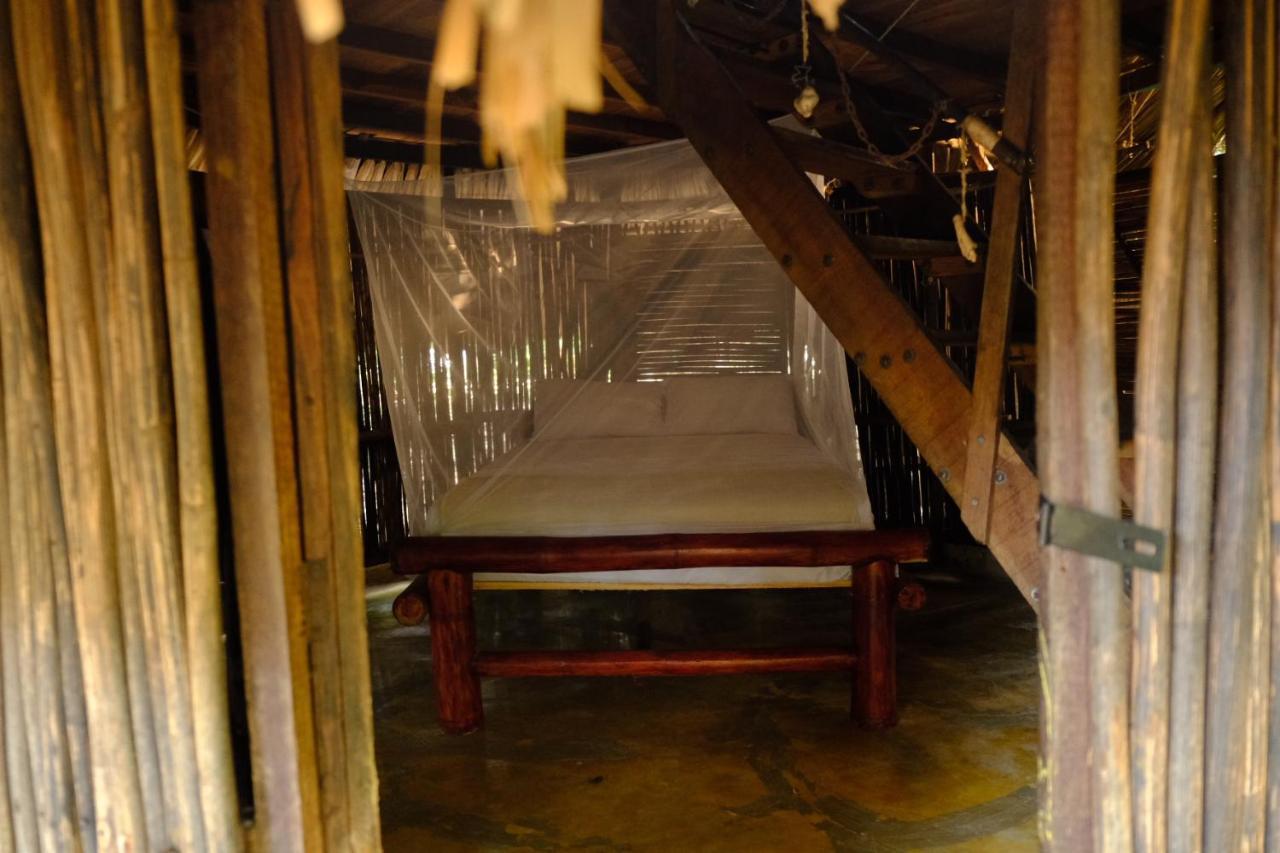 Auroa Palomino Otel Dış mekan fotoğraf