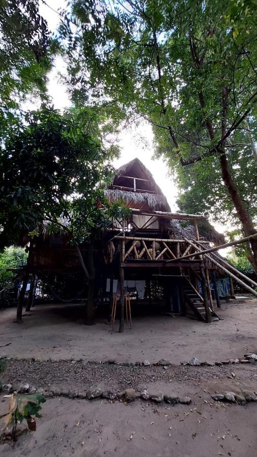 Auroa Palomino Otel Dış mekan fotoğraf