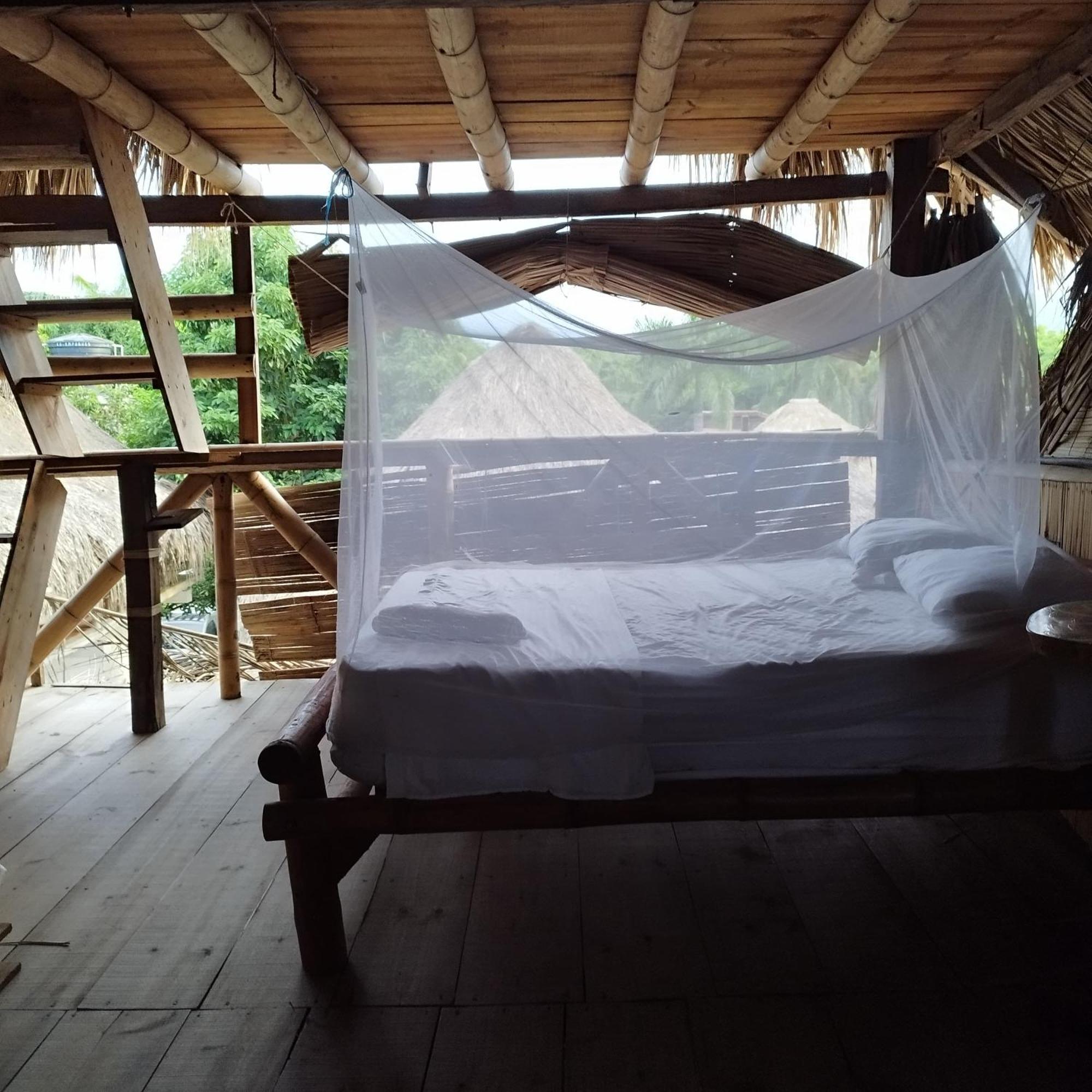 Auroa Palomino Otel Dış mekan fotoğraf