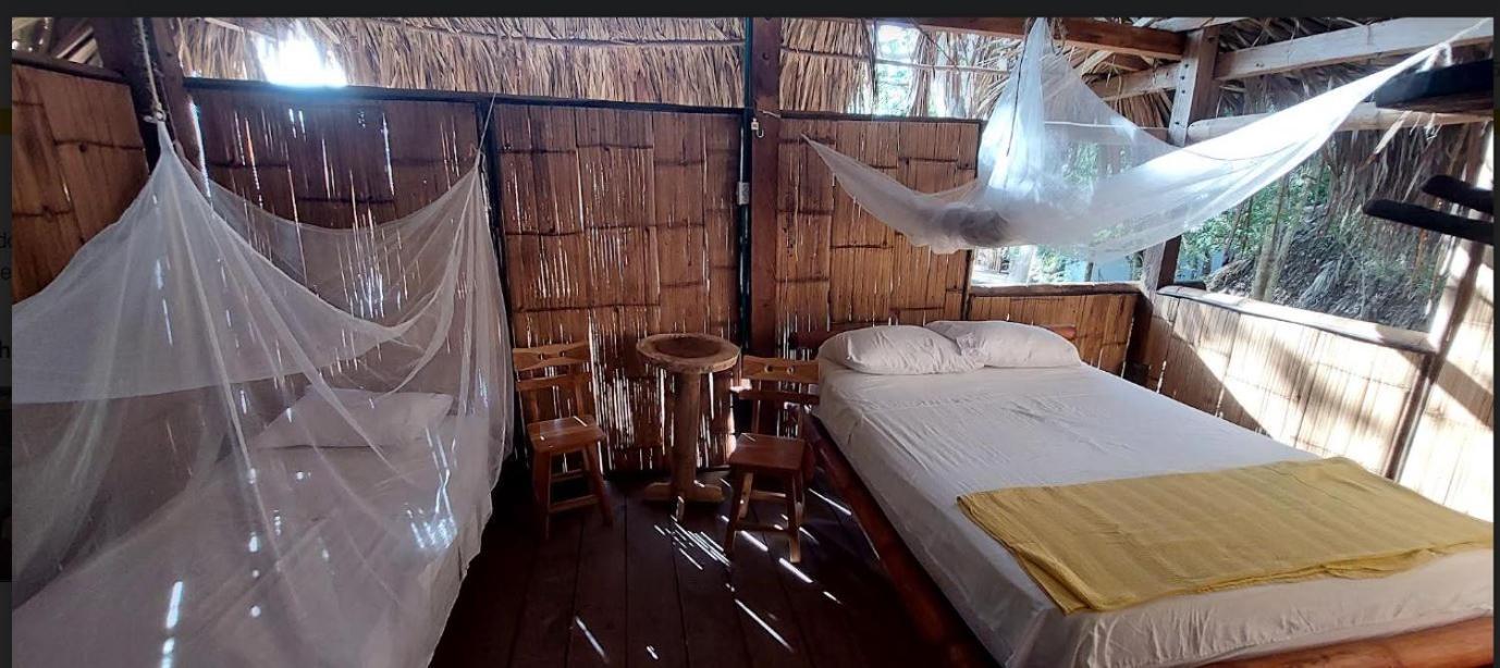 Auroa Palomino Otel Dış mekan fotoğraf